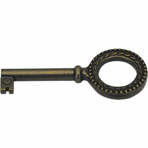 Hettich Buntbart-Schlüssel 75 mm x 4 mm Stahl Brüniert 1 Stück