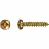 LUX Halbrundkopf Universalschraube PZ-Antrieb Ø 3 mm x 25 mm Gelb Verz. 50 Stück