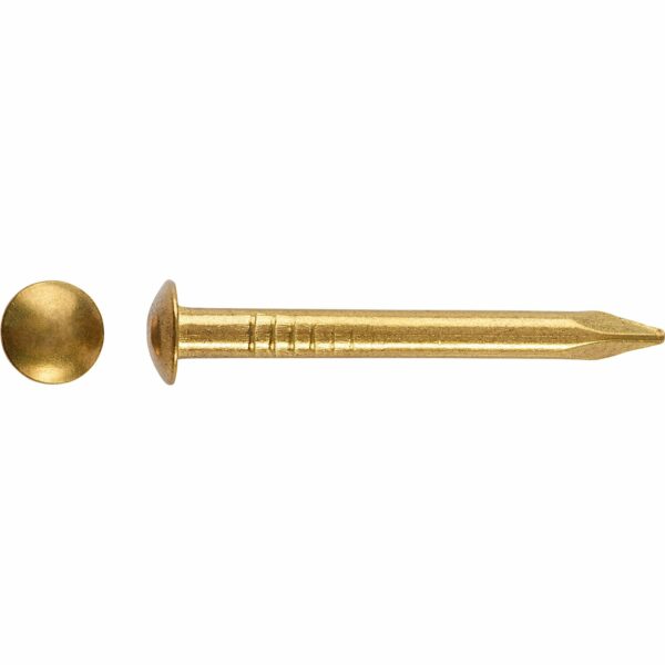LUX Rundkopfstift Ø 2 mm x 20 mm Vermessingt 100 Stück