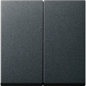 Gira Serien-Wippe System 55 Anthrazit
